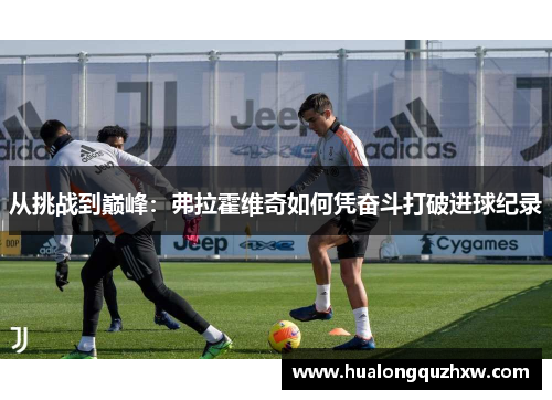 从挑战到巅峰：弗拉霍维奇如何凭奋斗打破进球纪录