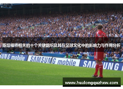 斯坦福桥相关的十个关键组织及其在足球文化中的影响力与作用分析