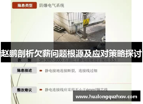 赵鹏剖析欠薪问题根源及应对策略探讨