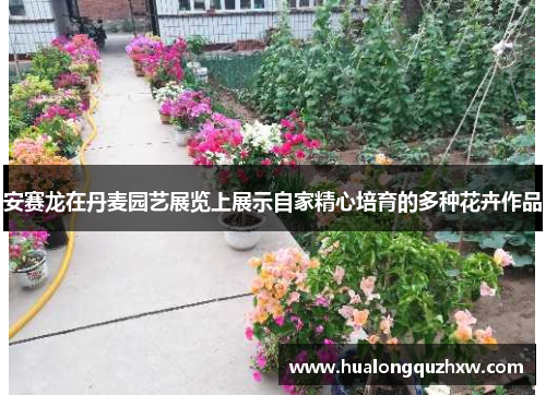 安赛龙在丹麦园艺展览上展示自家精心培育的多种花卉作品 安赛龙在丹麦园艺展览上展示自家精心培育的多种花卉作品