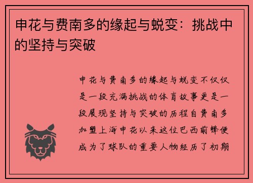 申花与费南多的缘起与蜕变：挑战中的坚持与突破